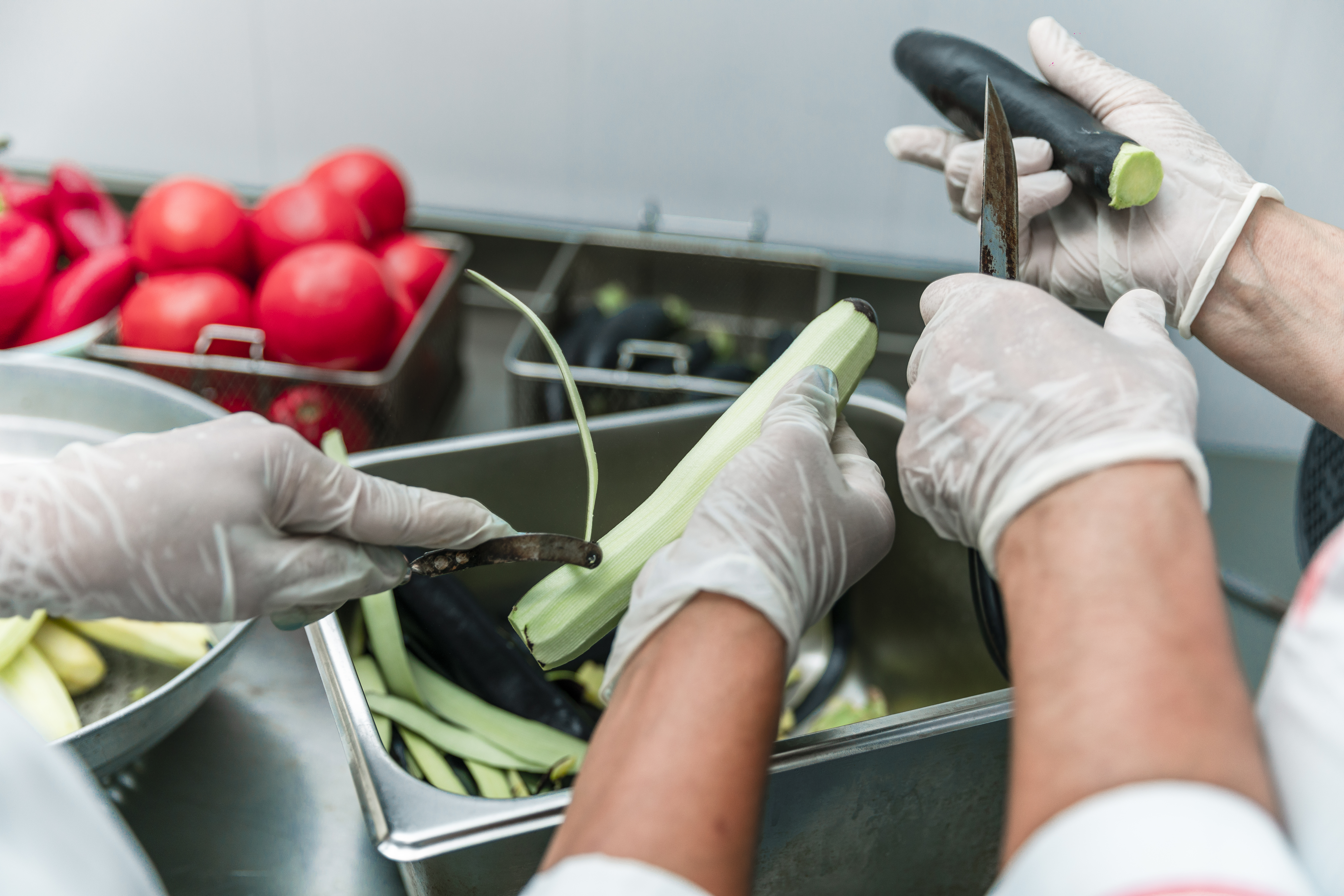 Higiene y Manipulación de Alimentos